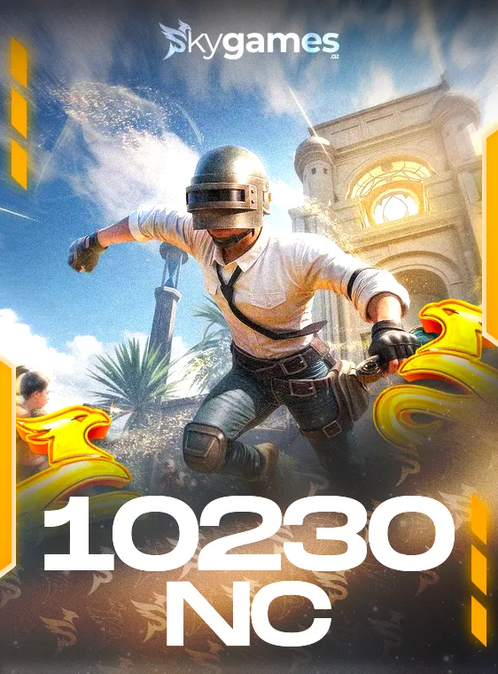 PUBG New State 10230 NC E-PİN