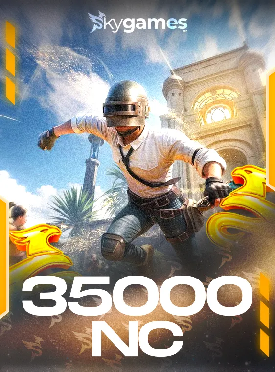 PUBG New State 35000 NC E-PİN